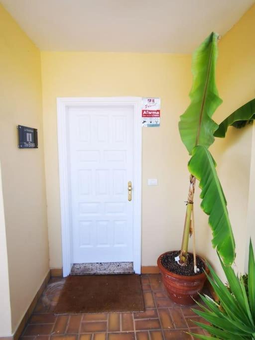 Amplia Casa 5 En Santa Cruz Con Zona Trabajar Casa vacanze Santa Cruz de Tenerife